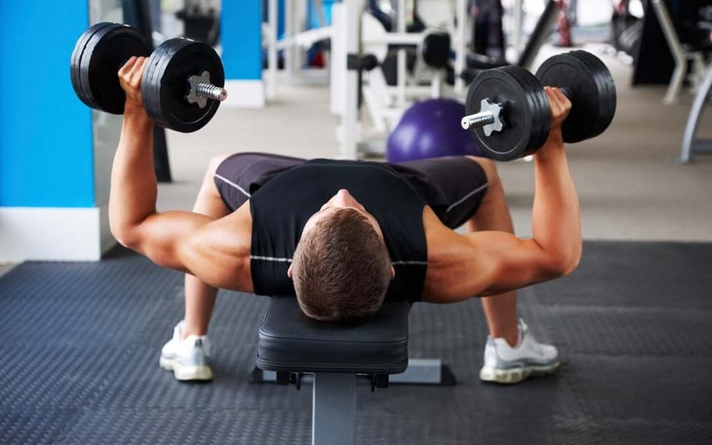Workout Bench How To Article