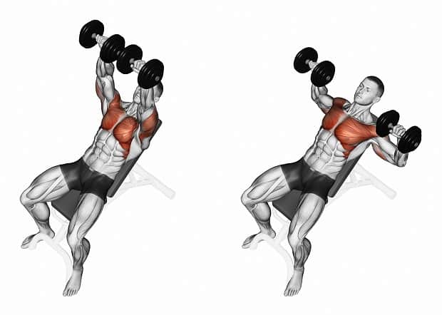 Man Displaying Incline Dumbbell Press