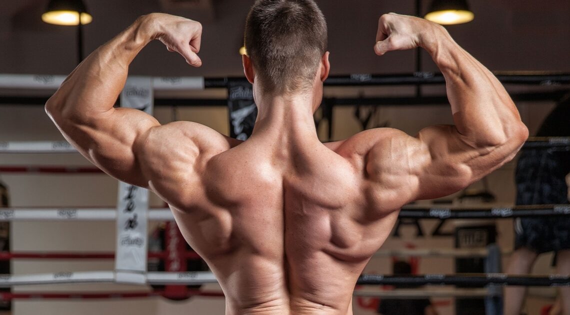 Dumbbells and Sport Bench to Build Your Back